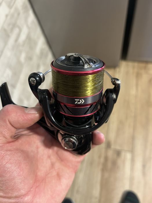 Daiwa ninja feeder