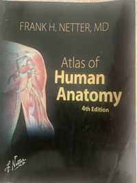 Netter- Atlas Anatomia Humana 4Edicão (versão portuguesa)