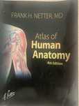 Netter- Atlas Anatomia Humana 4Edicão (versão portuguesa)