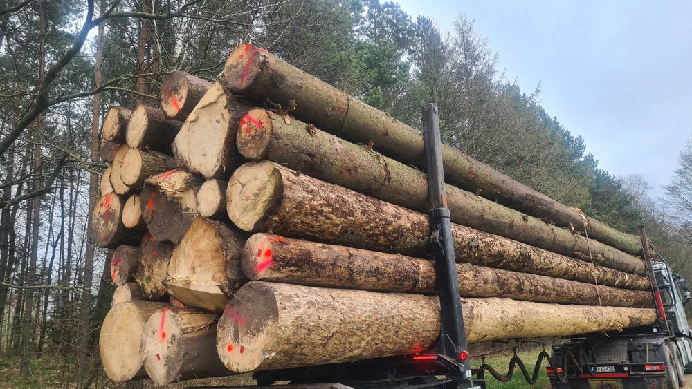 Drewno tartaczne  Sprzedaż drewna Tartacznego oraz paletowego