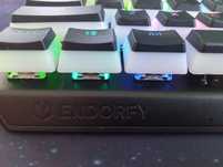 Klawiatura ENDORFY Thock TKL Pudding Kailh Red RGB