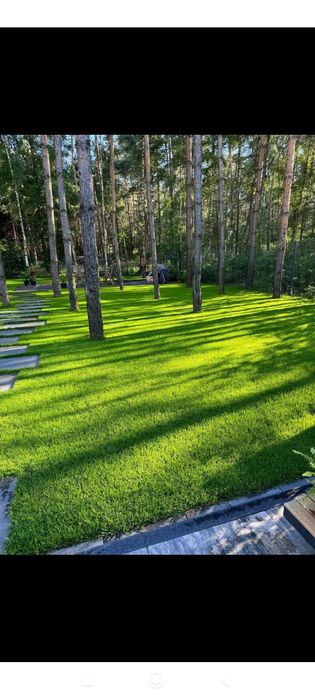Ogród Trawnik Nawodnienie Areacją Wertykulacja