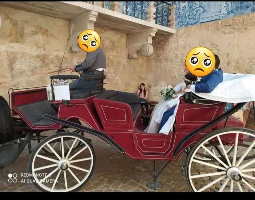 Charrete Carro Milord Versátil e Clássica