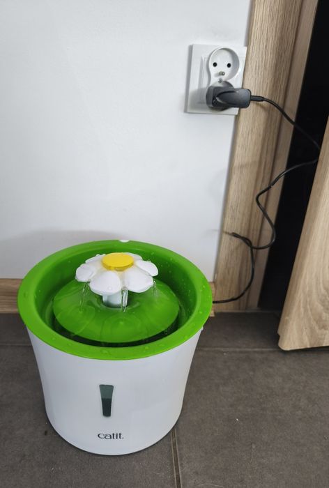 Fontanna dla psa lub kota