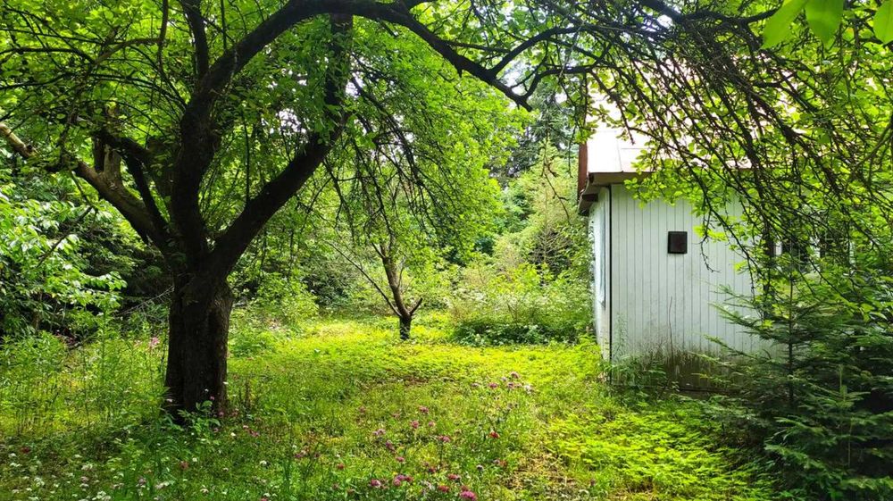 Siedlisko z gruntami ornymi