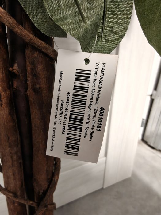 Plantasia 120cm kwiat Wisteria  nowy