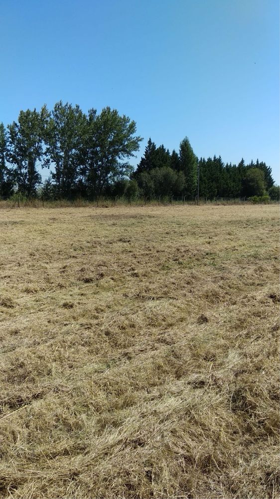 Aluguer Terreno na N5 Montojo/Alcochete - 0,53ha