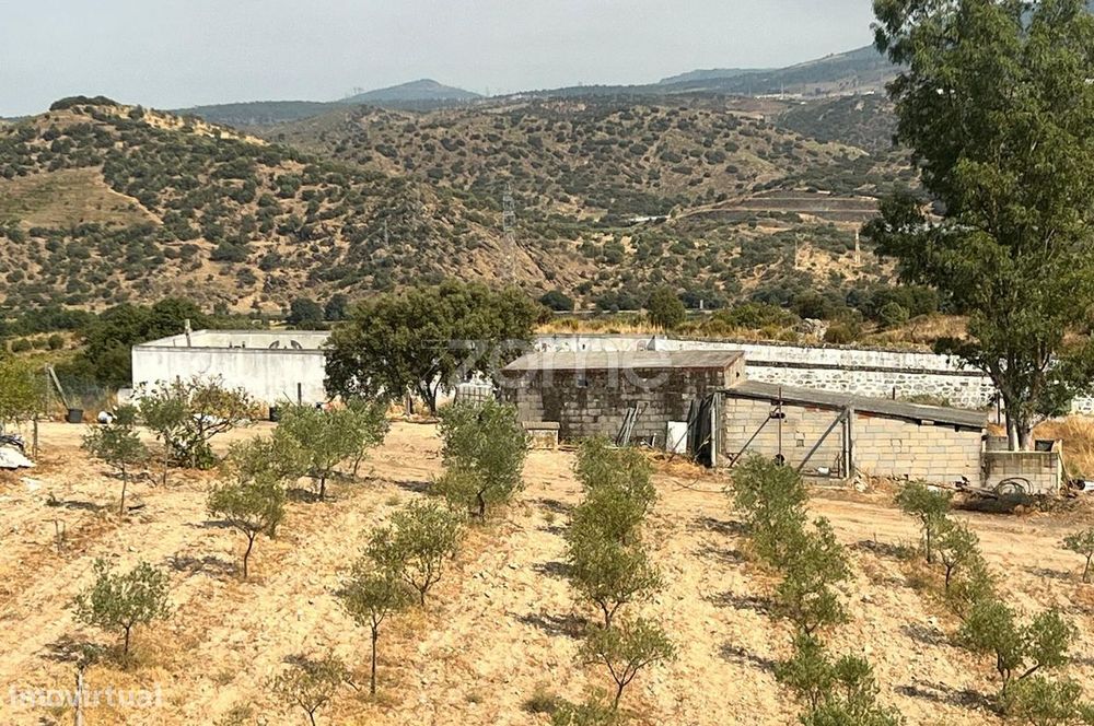 Terreno Panorâmico 11.745 m² no Douro - em Trás-os-Montes