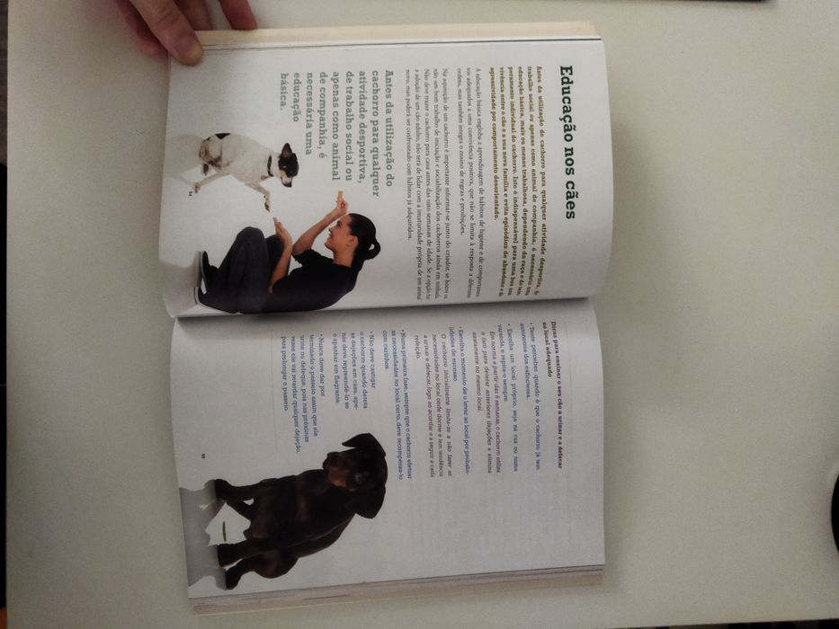 Livro "Cool dog"