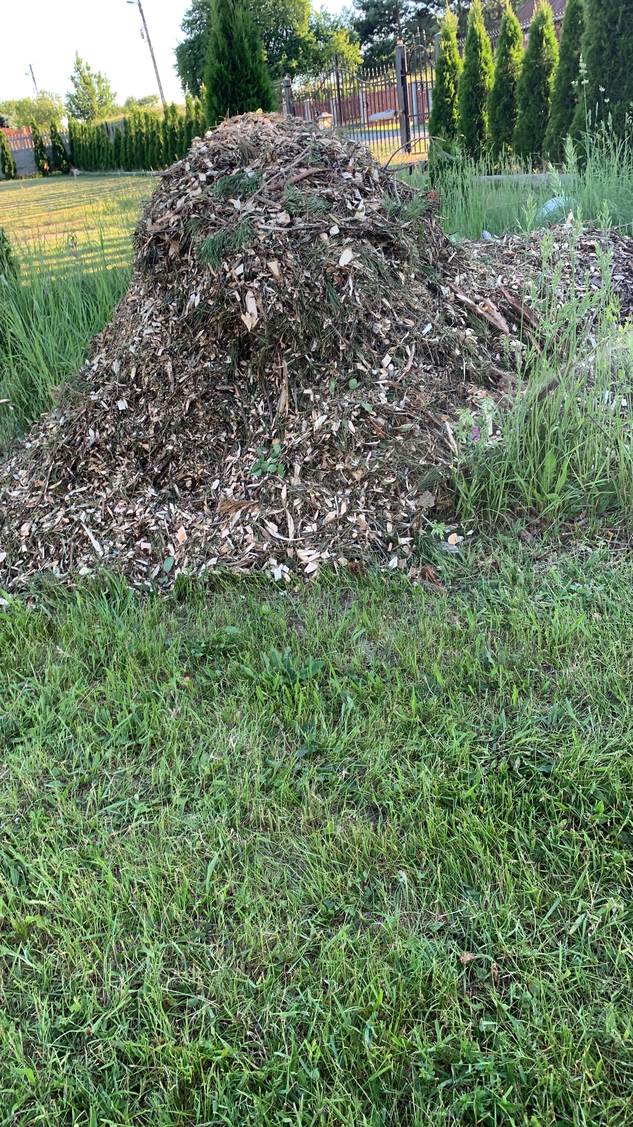 Zrębki, ściółka ogrodowa, pod tuje, maliny, borówki, drzewka, palenia