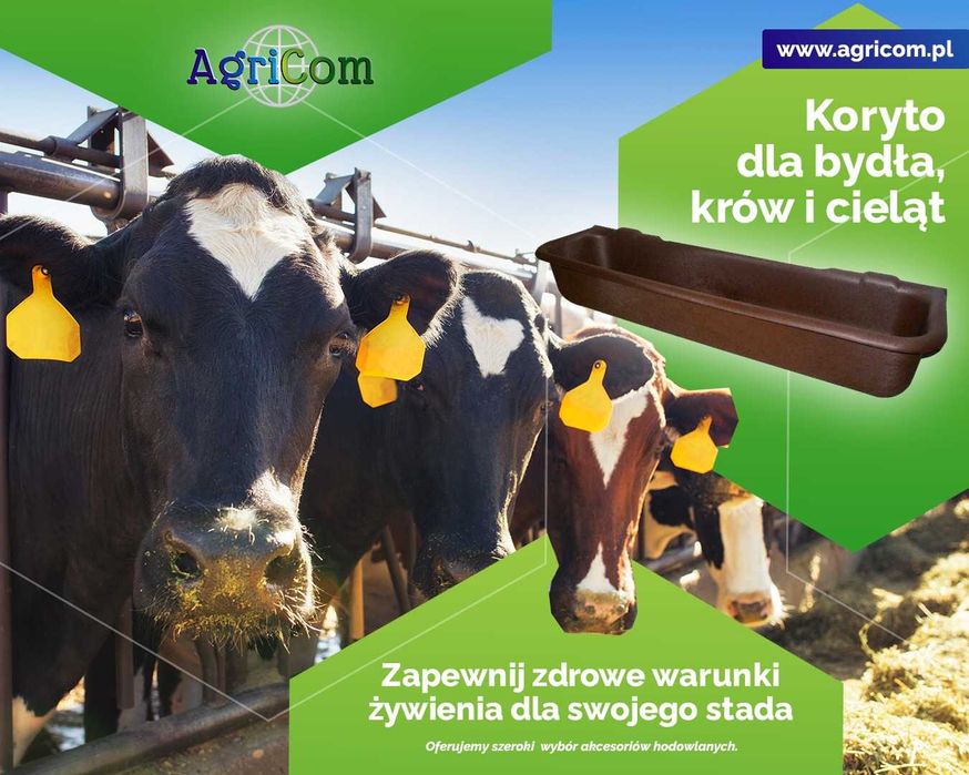Podłużne koryto dla zwierząt gospodarskich