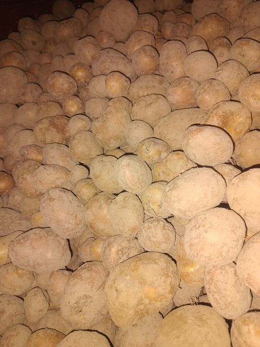 Sprzedam ziemniaki DOWÓZ