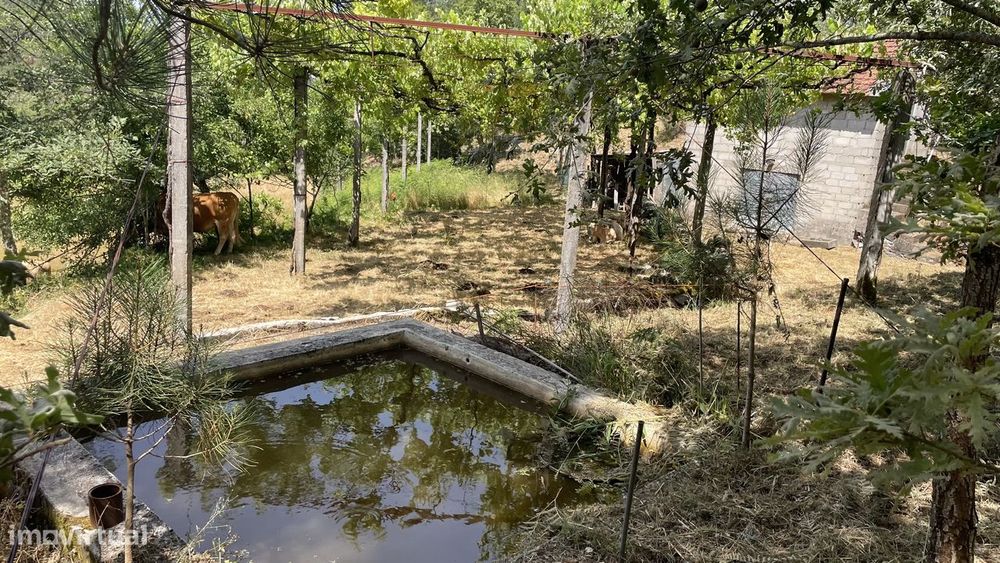 Quinta com casa rústica para restauro