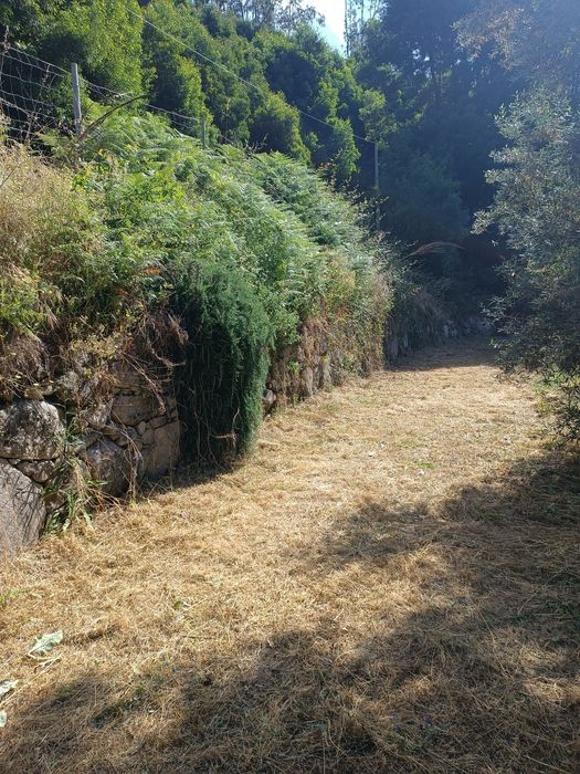 Limpeza de terrenos/jardins/trabalho de giratória/remoçã de entulhos