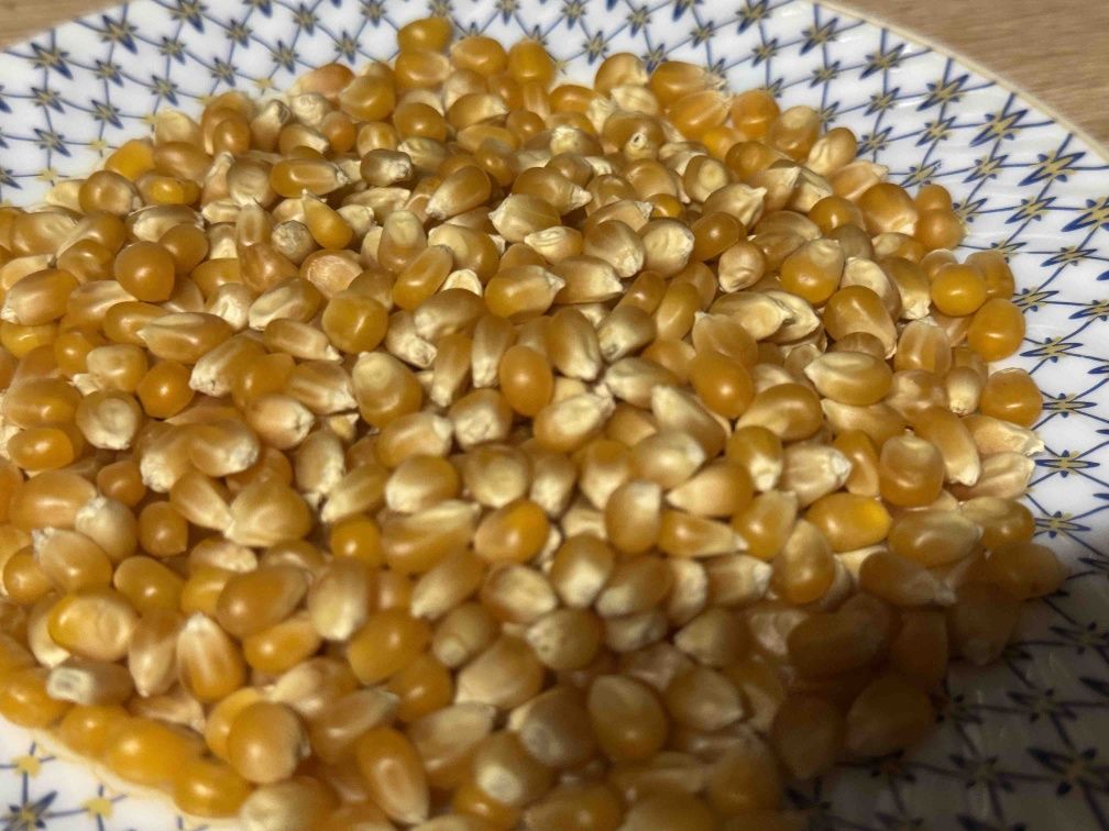 Семена /Насіння Зёрна кукурузы для попкорна
