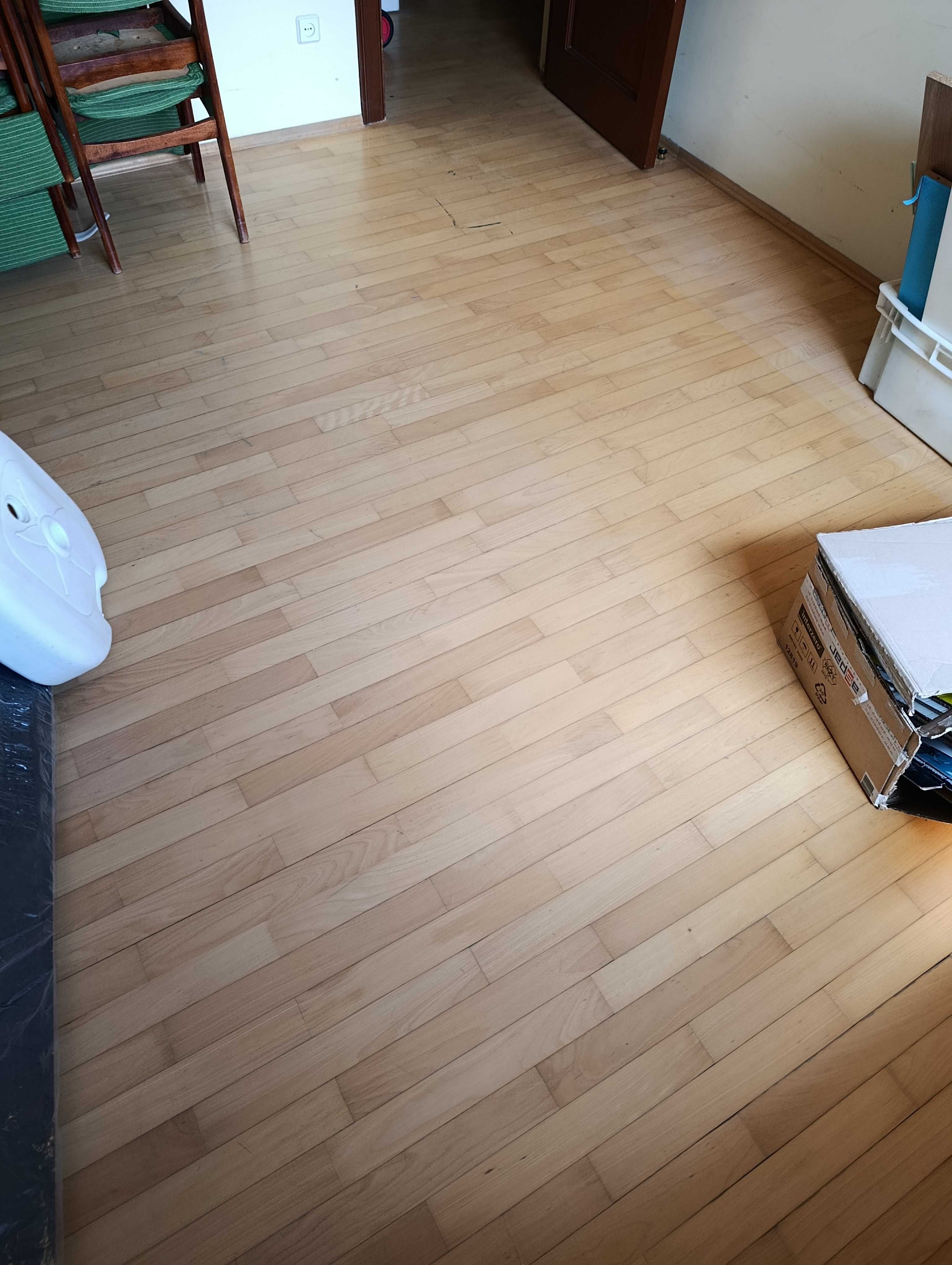parkiet używany bardzo bardzo pilnie sprzedam