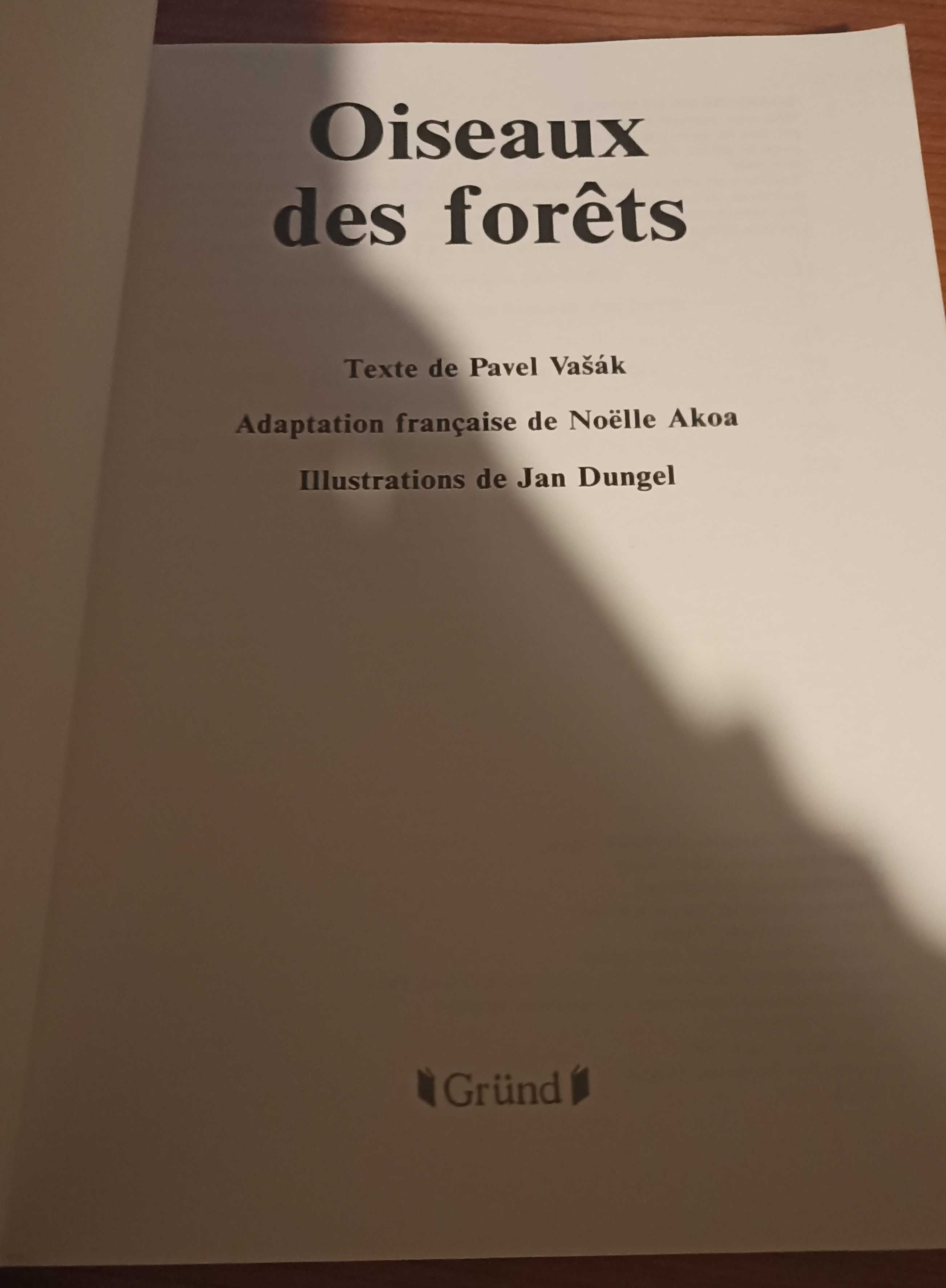 Oiseaux des forêts