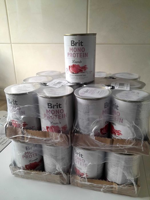 Mokra karma dla alergicznych psów Brit Protein Lamb