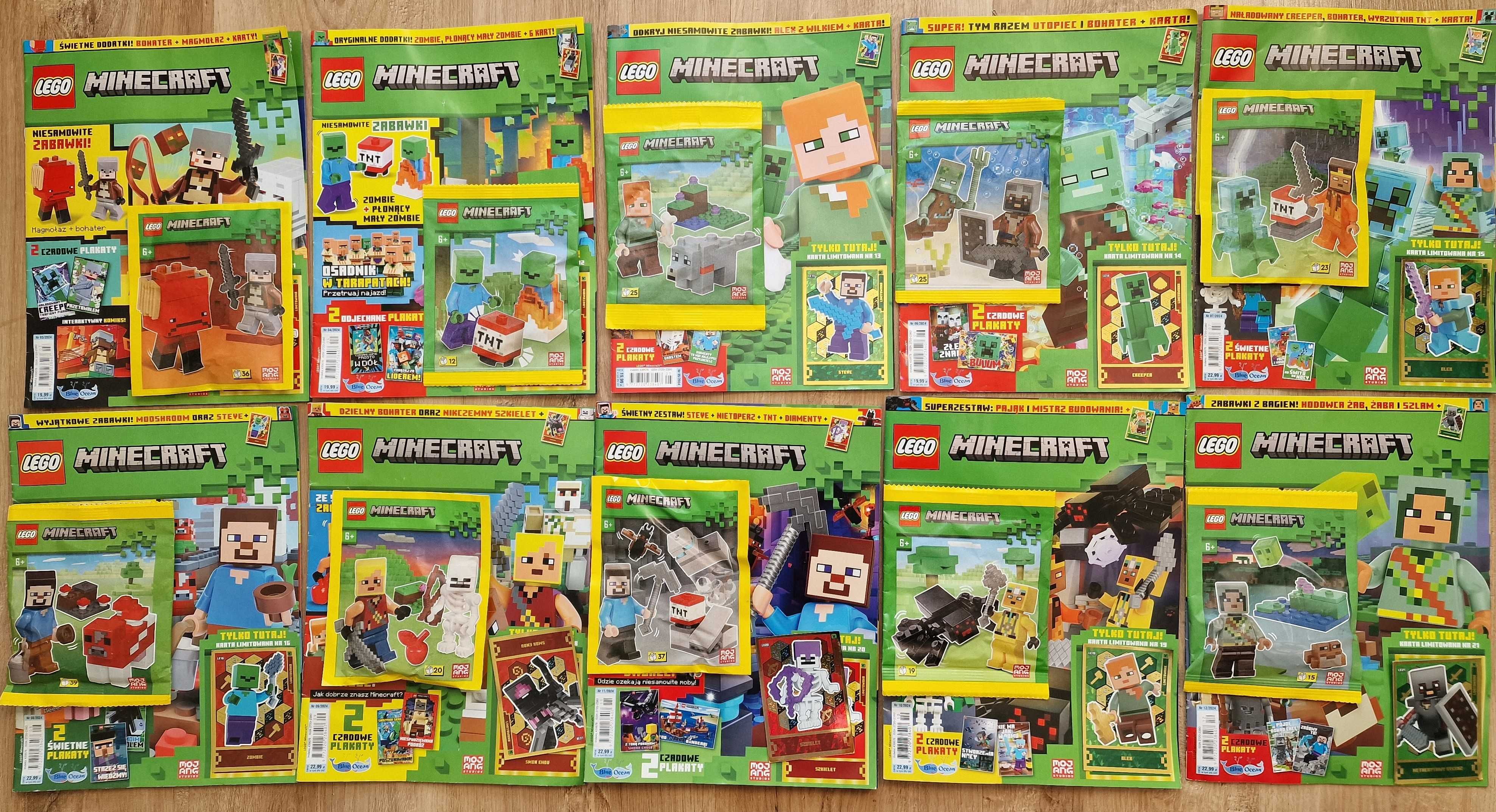 10 X magazyn LEGO MINECRAFT rok 3/4/5/6/7/8/9/10/11/12/2024 + figurki