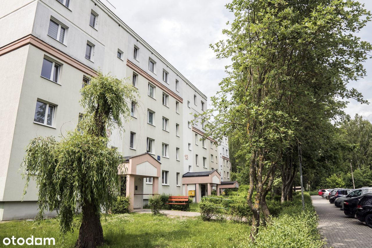 Słoneczne, 3-pokojowe mieszkanie przy lesie