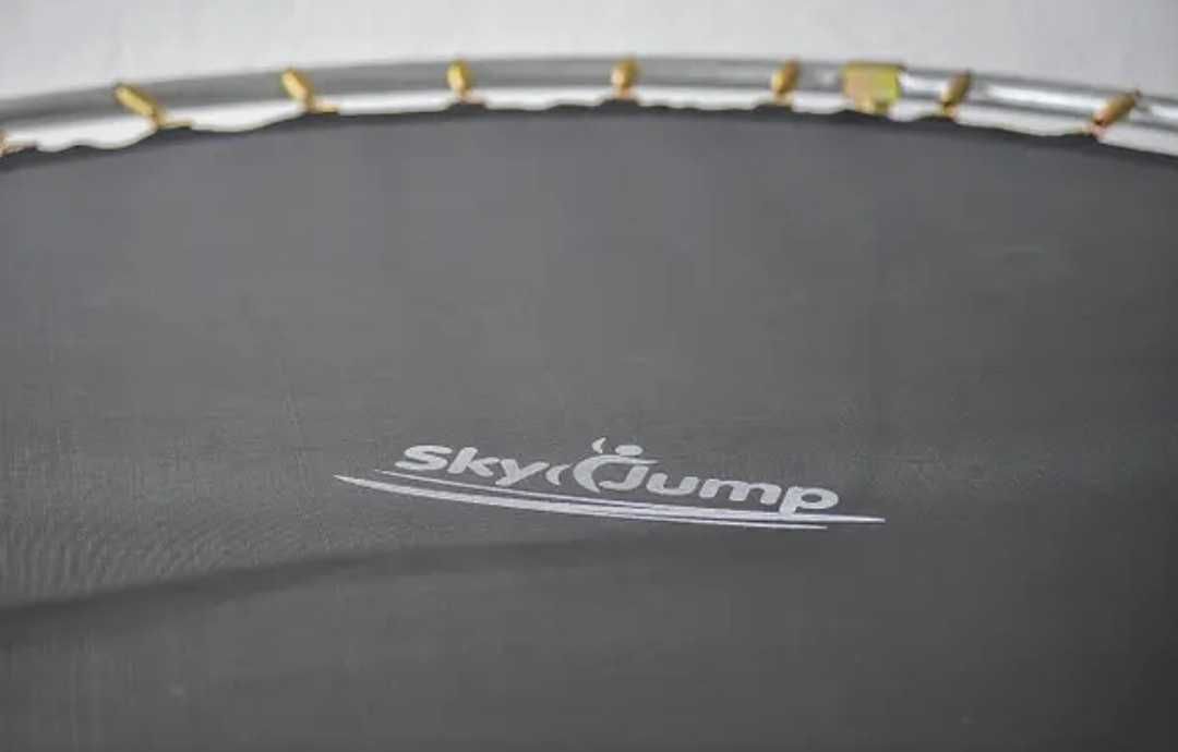 Батут sky jump (скай джамп) 312 з сіткою і драбинкою