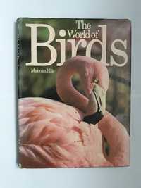 The World of Birds, Malcolm Ellis