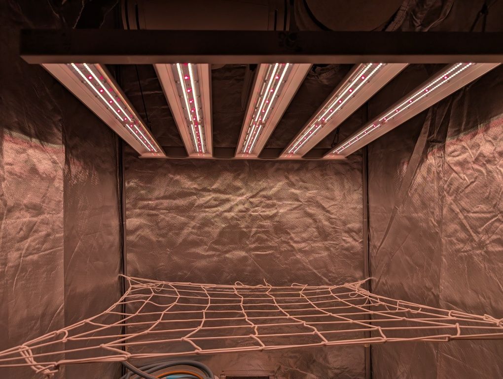 Готовий гроубокс Royal Room, Soler and Palau, UHE LED