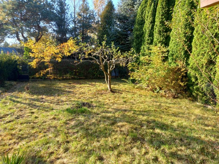 Działka na sprzedaż ROD Nadwiślański -  Płock