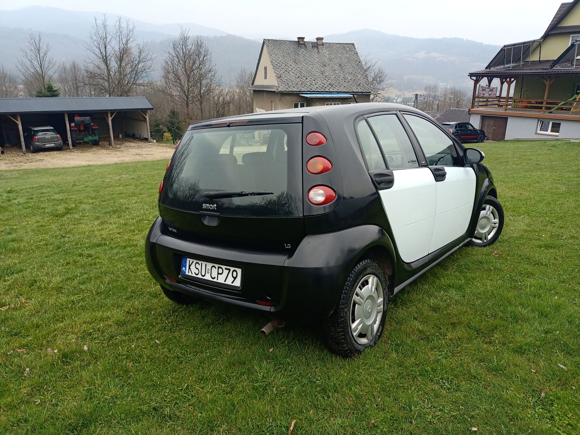 Smart Forfour 1.3
