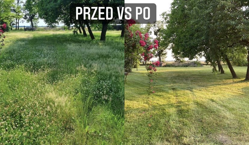 Pielegnacja ogrodów i terenów zielonych/koszenie traw