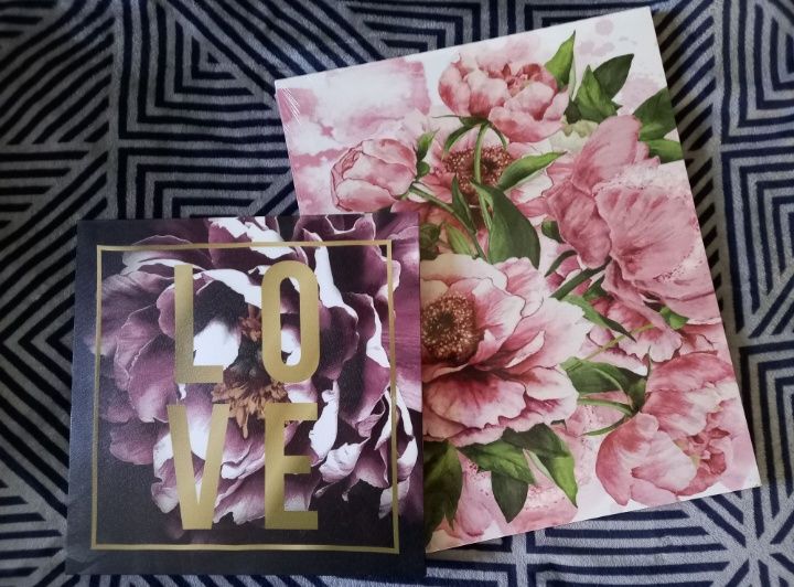 NOWE 2x canvas obraz na płótnie pepco love kwiaty piwonie