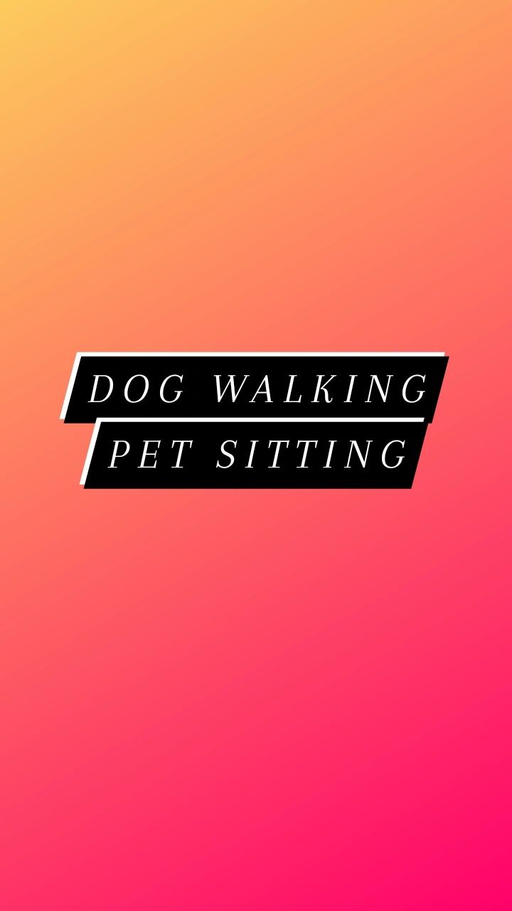 Dog Walking/Pet Sitting