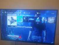 Playstation 4 Slime
