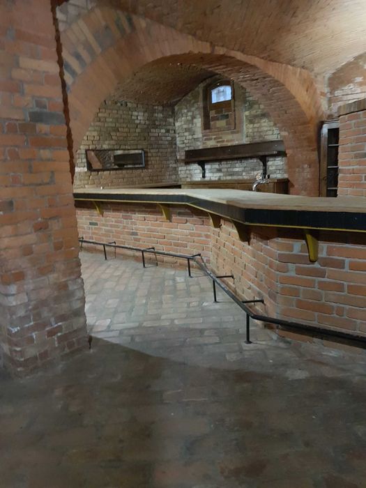 Lokal do wynajęcia w centrum Zielonej Góry – 200 m² - stylowa zabudowa