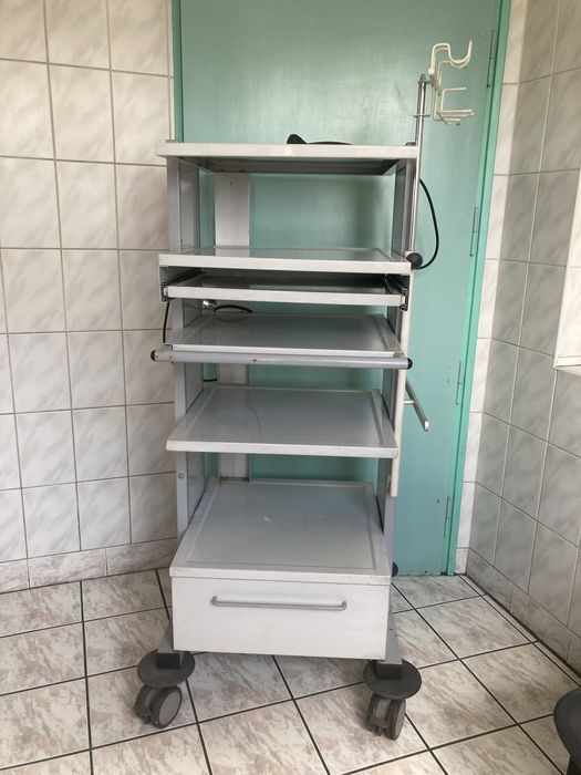 Wózek endoskokopowy, Endoskop,