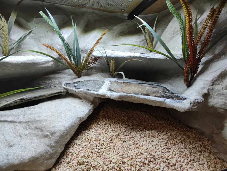 Terrarium pustynne nr784 60/40/40 dla gekona lamparciego DOSTĘPNE