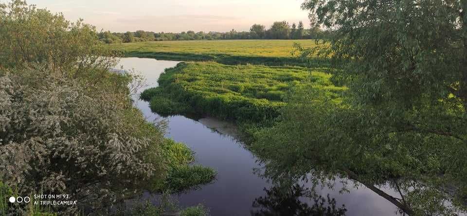 Земельна ділянка в мальовничому місці Львівський район с. Забужжя