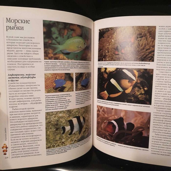 Аквариумные рыбки