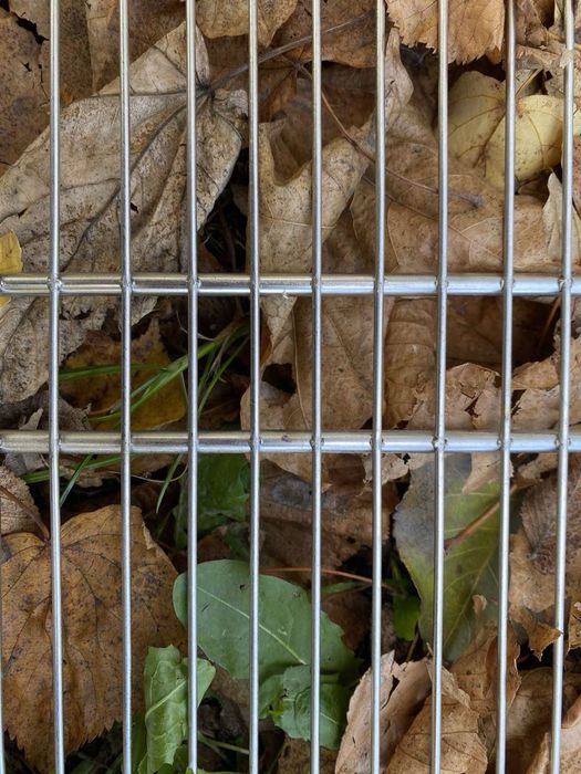 ‼️Решітка Гриль ручна робота,СПРАВЖНЯ нержавійка(НЕ МАГНІТИТЬСЯ)‼️