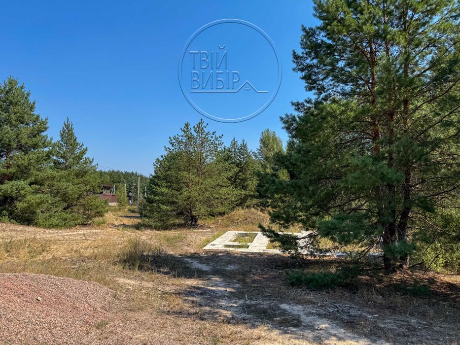 Продаж Ділянки 10 соток Гореничі Світло Ліс