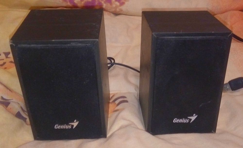 Колонки Genius SP-HF160 USB Деревянные