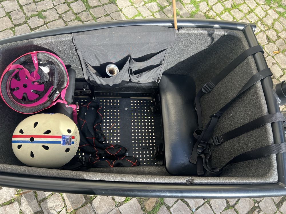 Urban Arrow Family Active Plus Electric Cargo Bike, Bicicleta Elétrica