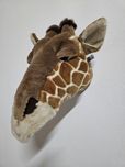 Cabeça de Girafa em peluche para parede
