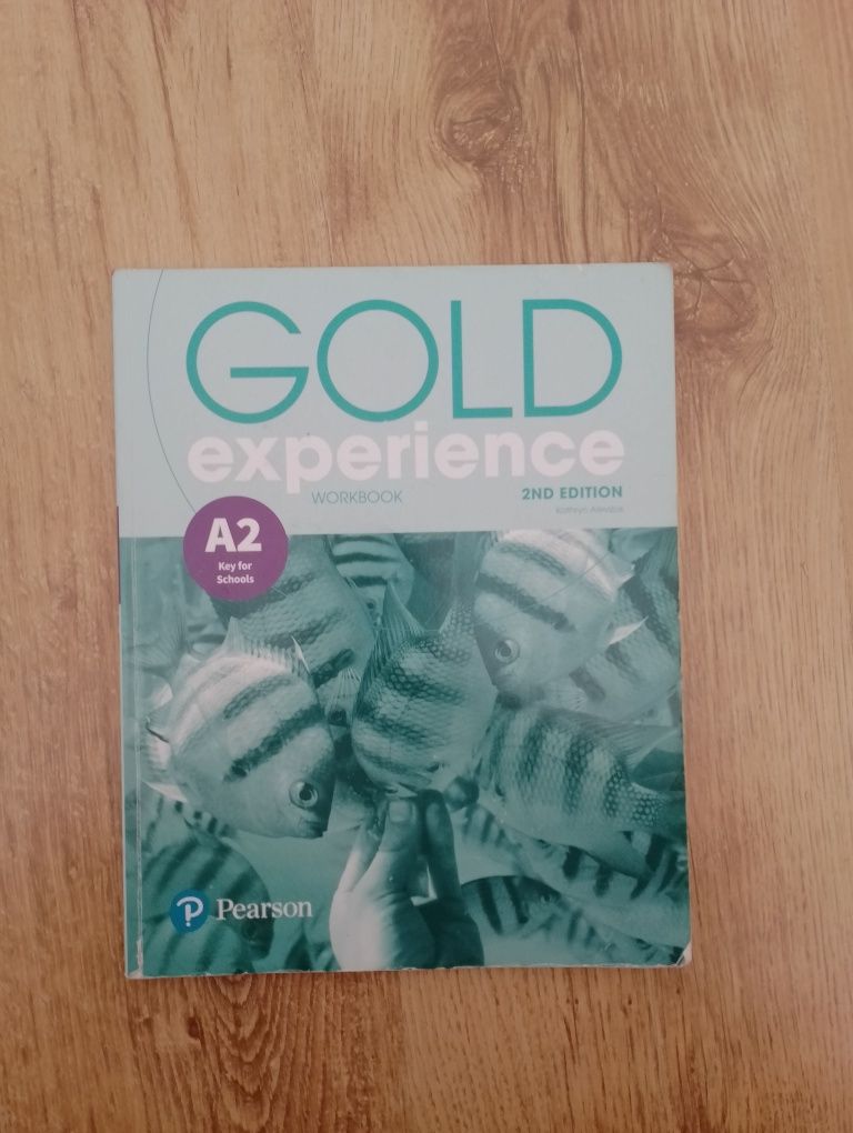Język angielski.Workbook.Gold experience