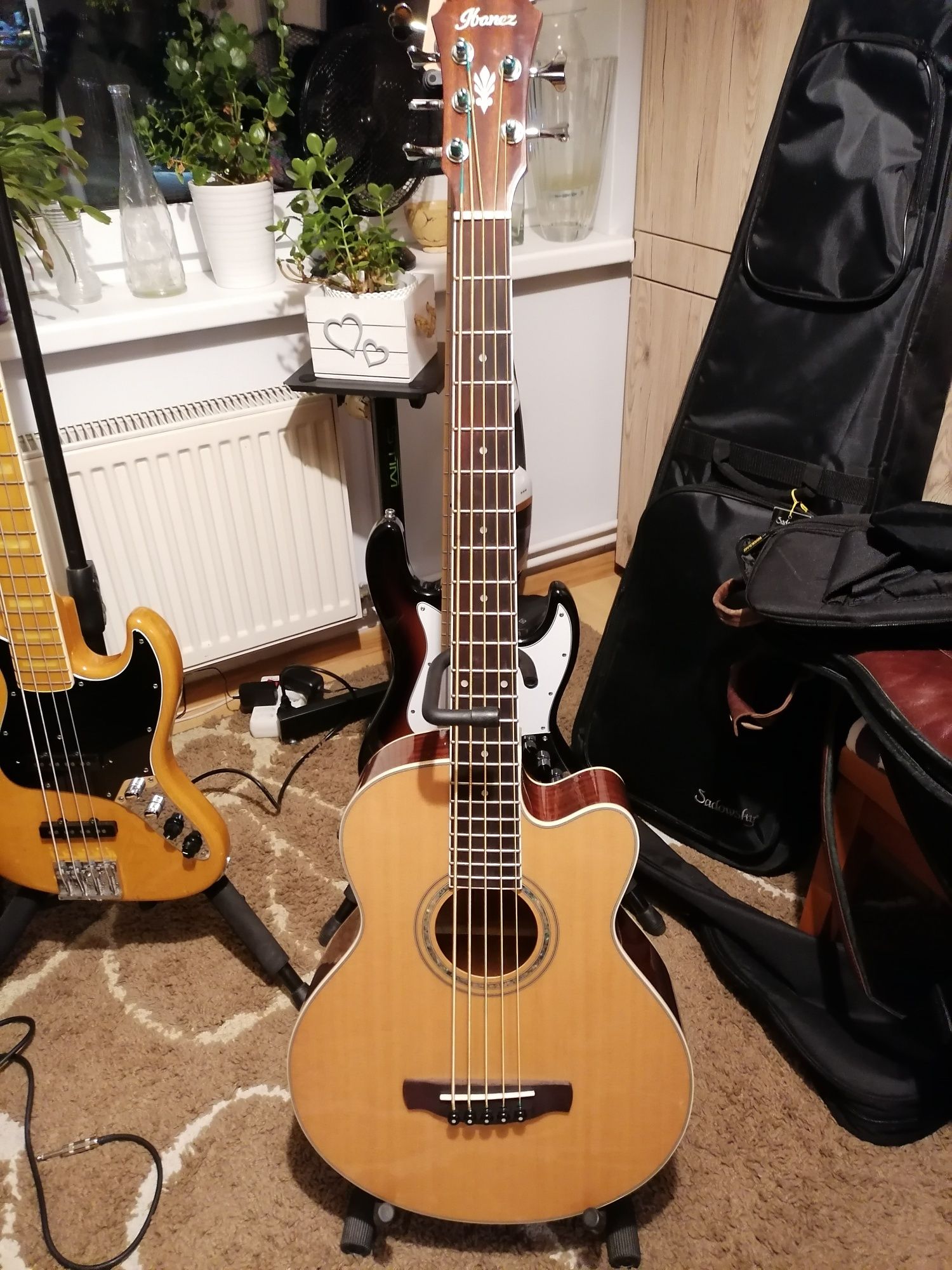 Bas akustyczny banez AEB105E 5 String