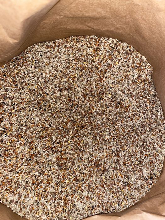 DELI Nature - Nasiona Zdrowia 94