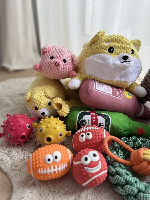 Mega zestaw zabawek dla psa 16szt