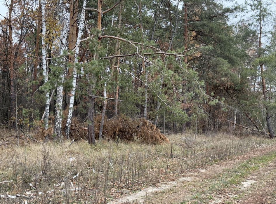 Продам фасадну земельну ділянку 3,3 Га!