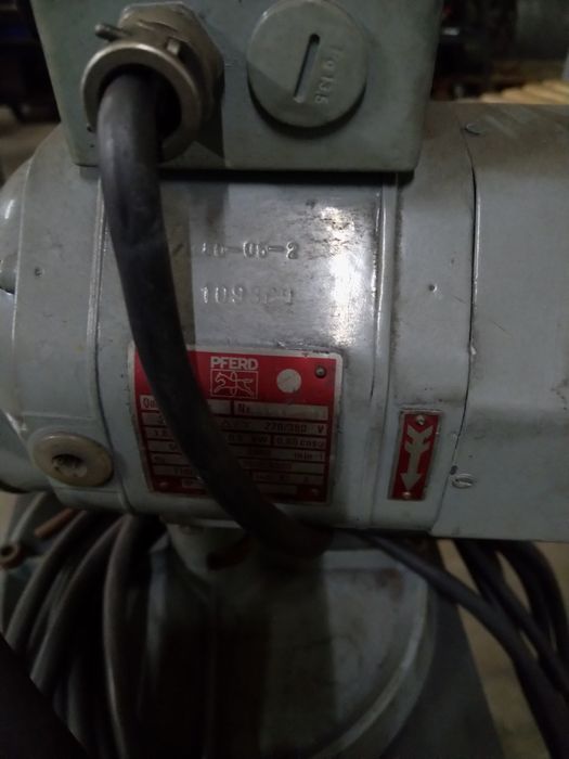 Polidor "Laranjo" PFERD