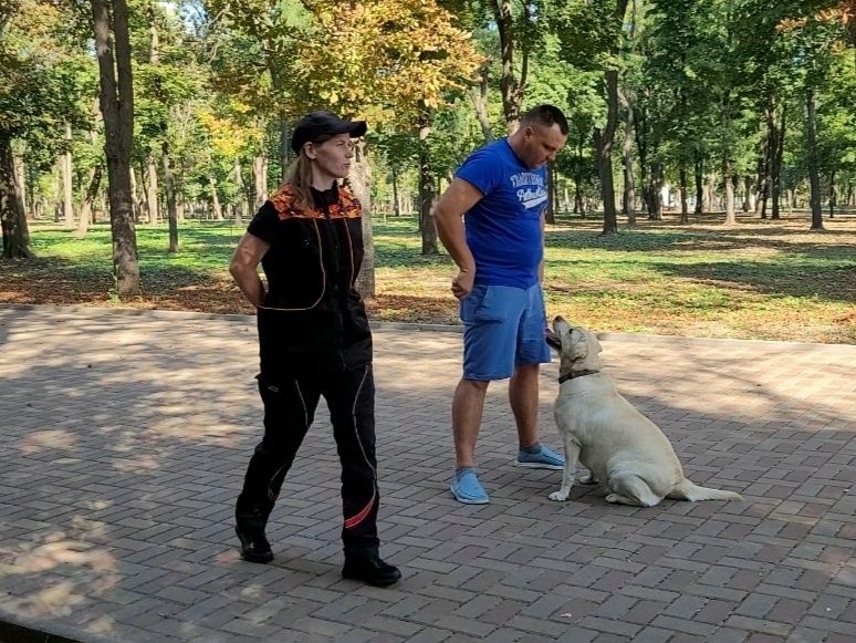 Дресирування в Слов'янську
